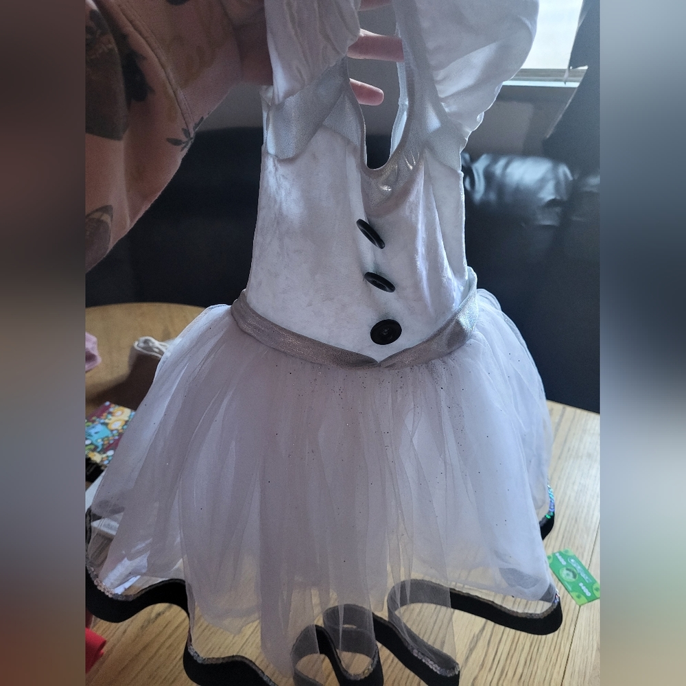 Frosty the snowman dance costume